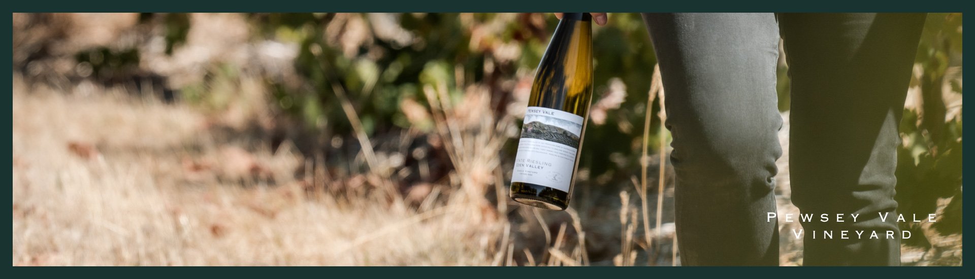 Cool Climate Wines Pack and Discount for Summer